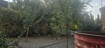 Həyət evləri və villaların satışı: 7 otaqlı, 200 kv. m, Orta təmir — 29