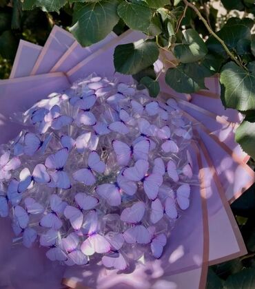 Hədiyyələr: Sifarisle hazirlanir — 7