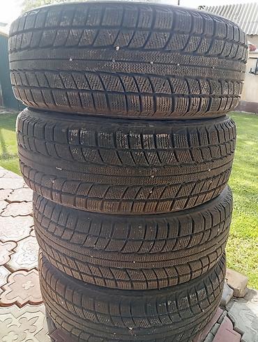 lexus lexus: Шины 215 / 60 / R 16, Зима, Новый, Комплект, Легковые, TRIANGLE — 2