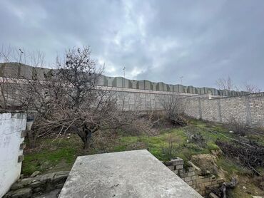 Torpaq sahələrinin satışı: 10 sot, Tikinti, Mülkiyyətçi, Kupça (Çıxarış)