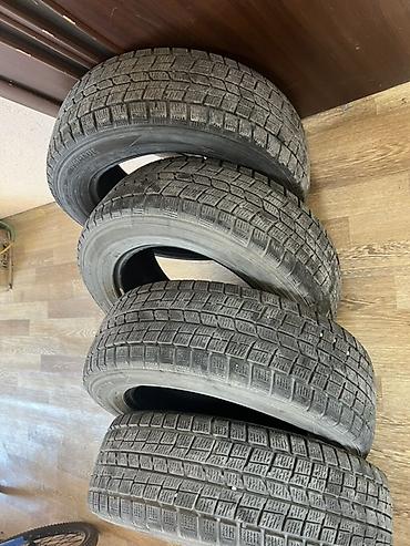 Шиналар жана дисктер: Зимние шины Dunlop (без шипов), комплект из 4 шт. - Размер: 205/65 — 1