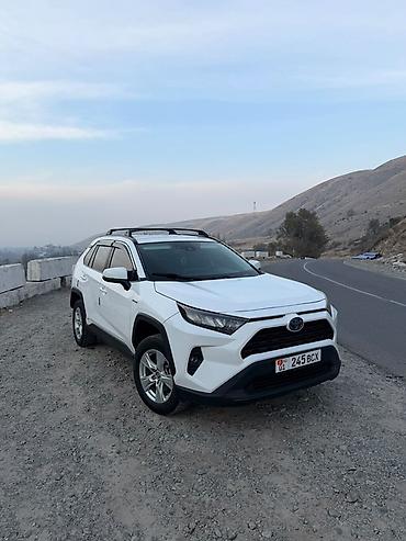 toyota hailander: Toyota RAV4: 2019 г., 2.5 л, Автомат, Гибрид, Кроссовер — 1