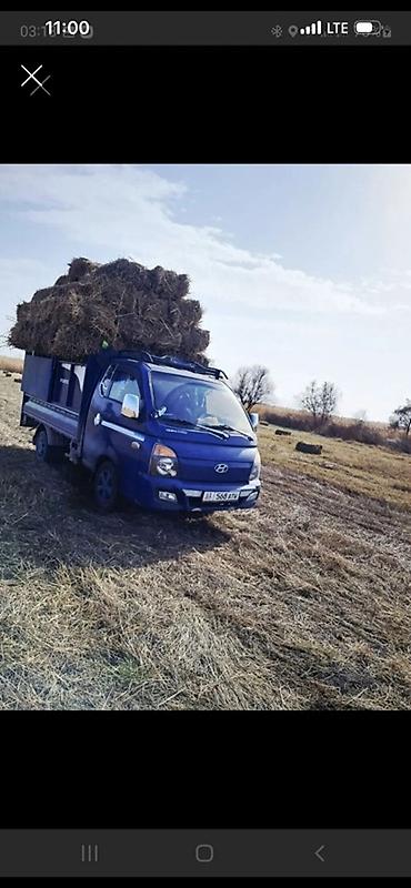 нужен крой: Hyundai Porter грузоперевозки сена и сельхозгрузов - Малотоннажный — 1