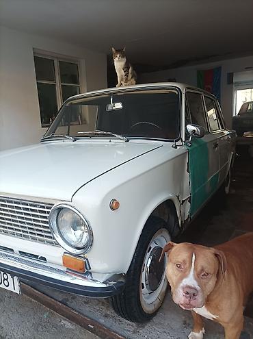 vaz 210: VAZ 2101 “Jiquli” – klassik sedan - Kuzov: 4 qapılı sedan, ağ rəng - — 3
