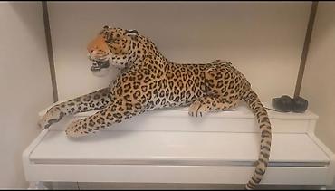 lol haljine za devojcice: Böyük ölçülü leopard — 1
