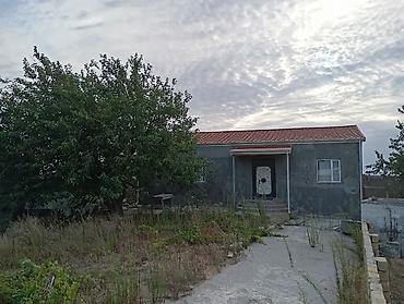 ecemide satilan evler: Pirşağı qəs. 4 otaqlı, 955 kv. m, Orta təmir — 6
