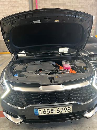 range river: Kia Sportage: 2021 г., 1.6 л, Автомат, Гибрид, Кроссовер — 10