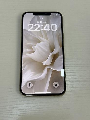 apple iphone 14: IPhone 12 Pro Max, Б/у, 256 ГБ, Золотой, Защитное стекло, Чехол, Коробка, 75 % — 2
