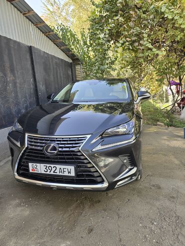 спойлер нексия 2: Lexus NX: 2021 г., 2.5 л, Автомат, Гибрид, Кроссовер