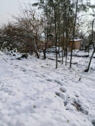 куплю дом в кара балте новониколаевка: Дача, 80 кв. м, 3 бөлмө, Менчик ээси