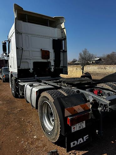 Тягачи: Тягач, DAF, 2005 г., Без прицепа — 3