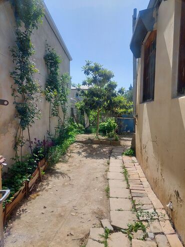 Bağ evlərinin satışı: Bakı, 150 kv. m, 7 otaqlı, İnternet, Telefon, Su — 9