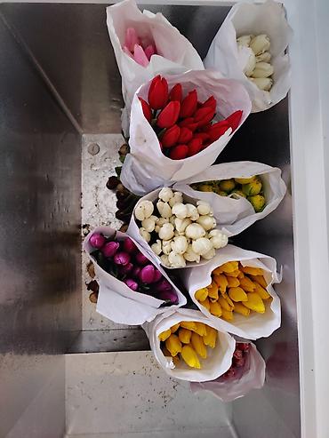 Букеты из живых цветов: Мини-композиция из тюльпанов в корзиночке - Состав: свежие тюльпаны — 14