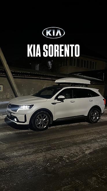 16 lt: Автобокс 173 см, 600 л, Новый, Самовывоз, Платная доставка — 3