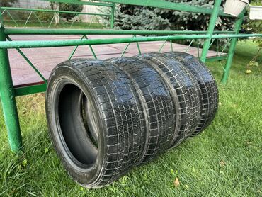 колесо для газ 53: Шины 205 / 55 / R 16, Зима, Б/у, Комплект, Легковые, Yokohama