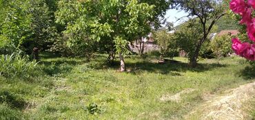 Torpaq sahələrinin satışı: 10 sot, Tikinti, Mülkiyyətçi, Kupça (Çıxarış) — 17