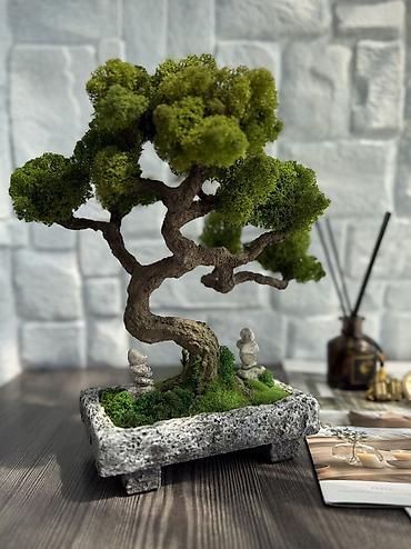 Декоративные цветы: Деревья-бонсай из натурального стабилизированного мха🌳 -это — 66