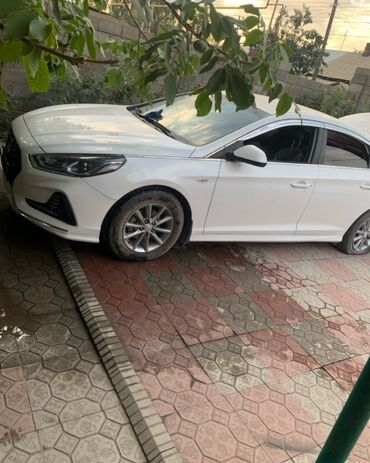 крыло на матиз: Hyundai Sonata: 2017 г., 2 л, Вариатор, Газ, Седан