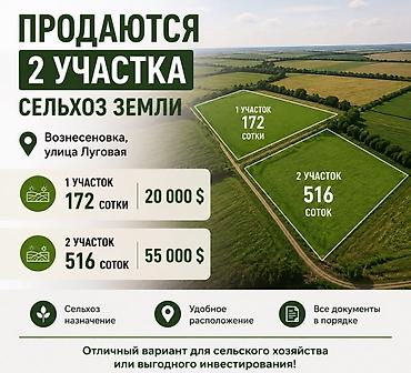 Кыймылсыз мүлк: 172 соток, Айыл чарба үчүн — 1