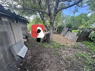Продажа коттеджей и домов: Продаю дом котеджного типа город Шопоков Сокулукский район, со всеми — 18