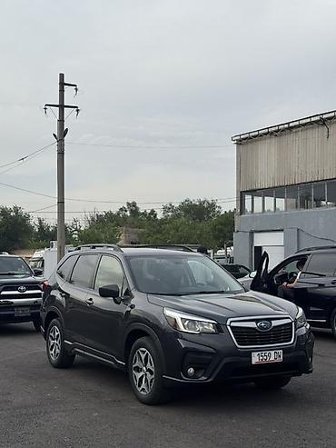 Subaru: Subaru Forester: 2019 г., 2.5 л, Вариатор, Кроссовер — 10