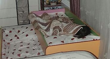 tek kravat islenmis: İşlənmiş, Təknəfərlik çarpayı, Matras ilə — 1