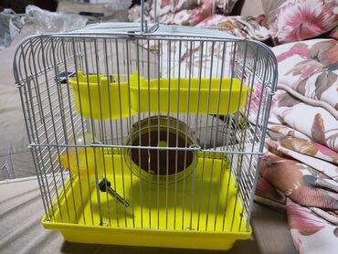 Qəfəslər: Hamster üçün qəfəs – çoxmərtəbəli, aksesuarlarla ki - Rəng — 9