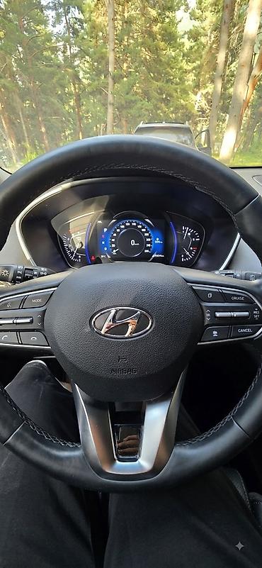 santa fe 2010: Hyundai Santa Fe: 2019 г., 2.2 л, Автомат, Дизель, Кроссовер — 9