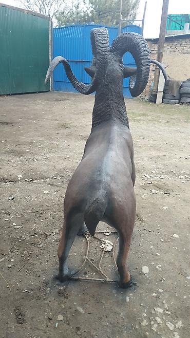 Другой декор и предметы интерьера: Садово-парковые скульптуры и декоративные фигуры на заказ. - Лебеди — 42