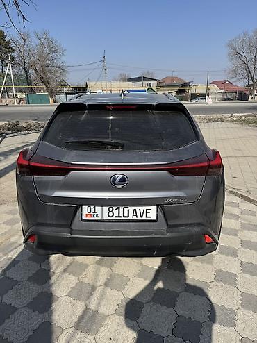 Lexus: Lexus UX: 2019 г., 2 л, Гибрид, Кроссовер — 3