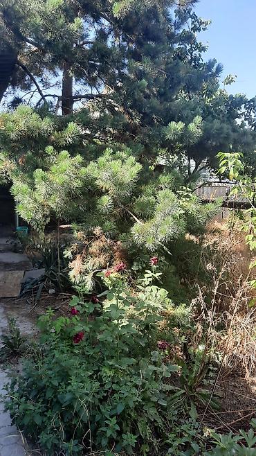 Продажа коттеджей и домов: Продаю дом район Рабочий городок, ул.Красная и ул.Кочкорская5 комнат — 9