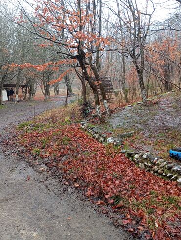 Uzunmüddətli kirayə evlər: 3000 kv. m, 3 otaqlı -da lalafo.az — 18 Uzunmüddətli kirayə evlər: 3000 kv. m, 3 otaqlı — 18