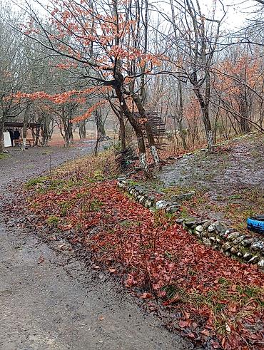 ev alqi satqisi kirayesi: Masalli rayonu. İsti su istirahet merkezine yaxin. Turan restoranina — 1