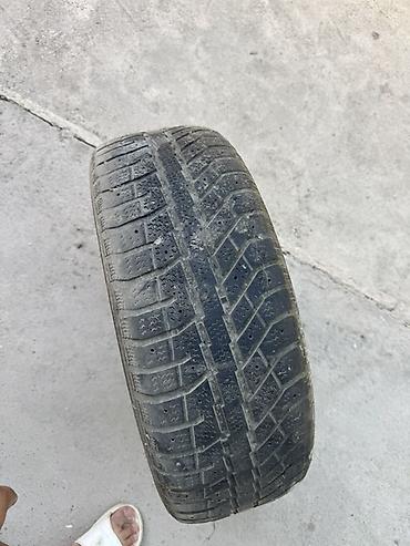 205 50 16: Автомобильная шина 205/60 R16 - Бескамерная (Tubeless) - Направленный — 2