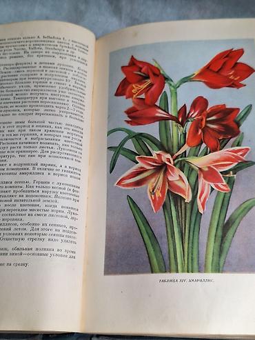 редкие книги: ЦВЕТОВОДСТВО. Антикварная книга Г. Киселев Москва 1952 Тираж 75.000 — 5