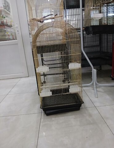 Qəfəslər: Her novde her qiymete qefeslermiz var catrilma var metrolara rayolara — 6