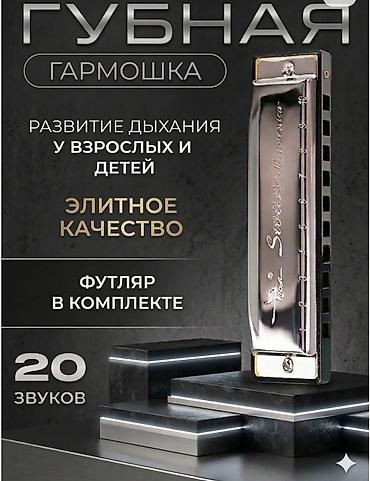 гормошки: Диатоническая губная гармошка Swan SW1020 - это классический — 1