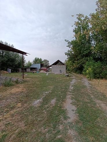 Продажа коттеджей и домов: 2 дома | 50 соток | 60 КВ.м | 65 кв.м В с. Петровка вдоль трассы — 21