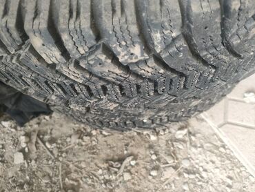 цены на зимние шины в бишкеке: Шины 185 / 65 / R 15, Зима, Б/у, Пара, Легковые, Россия