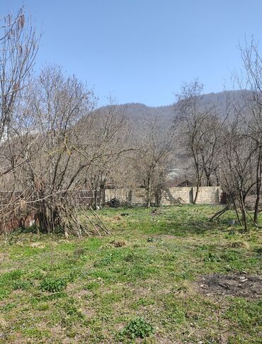 Torpaq sahələrinin satışı: 10 sot, Tikinti, Barter mümkündür, Kupça (Çıxarış) -da lalafo.az — 13 Torpaq sahələrinin satışı: 10 sot, Tikinti, Barter mümkündür, Kupça (Çıxarış) — 13