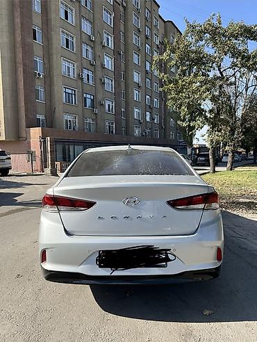 ветровик на соната: Hyundai Sonata: 2018 г., 2 л, Автомат, Газ, Седан — 4