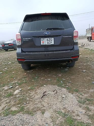 mini cupper: Subaru Forester: 2017 г., Кроссовер — 1