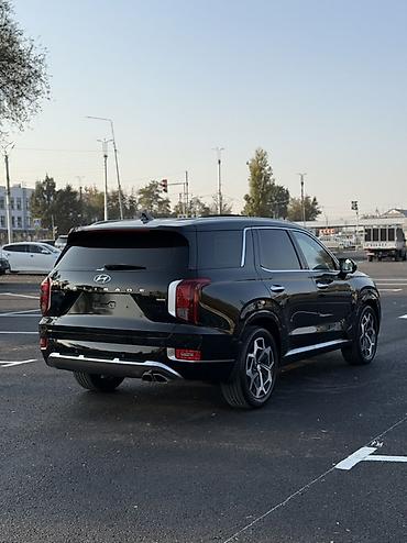 камера лампа: Hyundai Palisade: 2022 г., 2.2 л, Автомат, Дизель, Кроссовер — 9