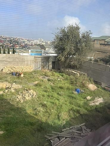Torpaq sahələrinin satışı: Tikinti, Kupça (Çıxarış) — 2