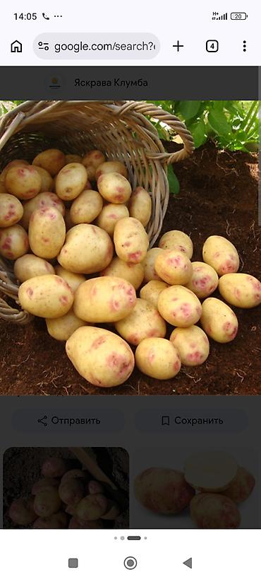 Овощи: Картошка Пикассо — 1