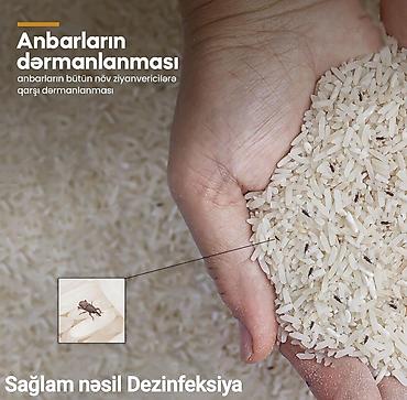 Dezinfeksiya, dezinseksiya: Dezinfeksiya, dezinseksiya | Tarakanlar, Ağacları çiləmə, Taxtabiti | Ofislər, Mənzillər, Evlər — 4