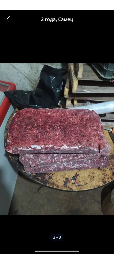 купить элитного щенка немецкой овчарки: Алабай, 4 года, Самец