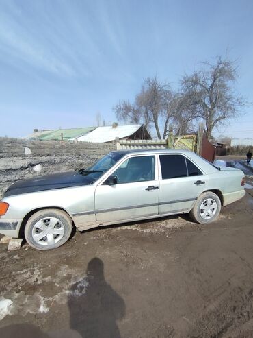 мерседес японец: Mercedes-Benz W124: 1988 г., 3.2 л, Механика, Дизель