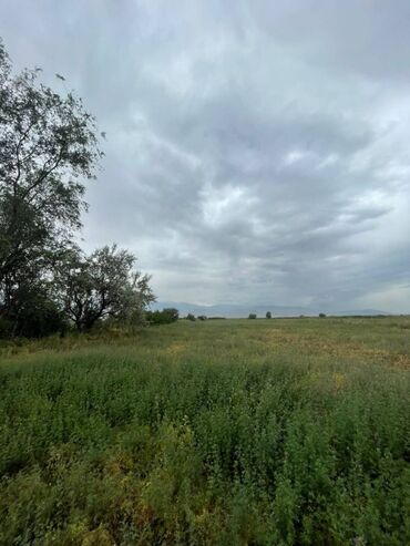 дом на горах: 38 соток, Для бизнеса, Красная книга
