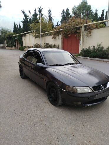 opel 1996: Opel Vectra: 2 l | 1996 il 665566 km Sedan